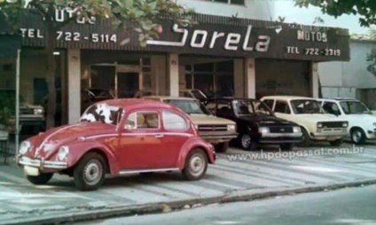 Divulgação