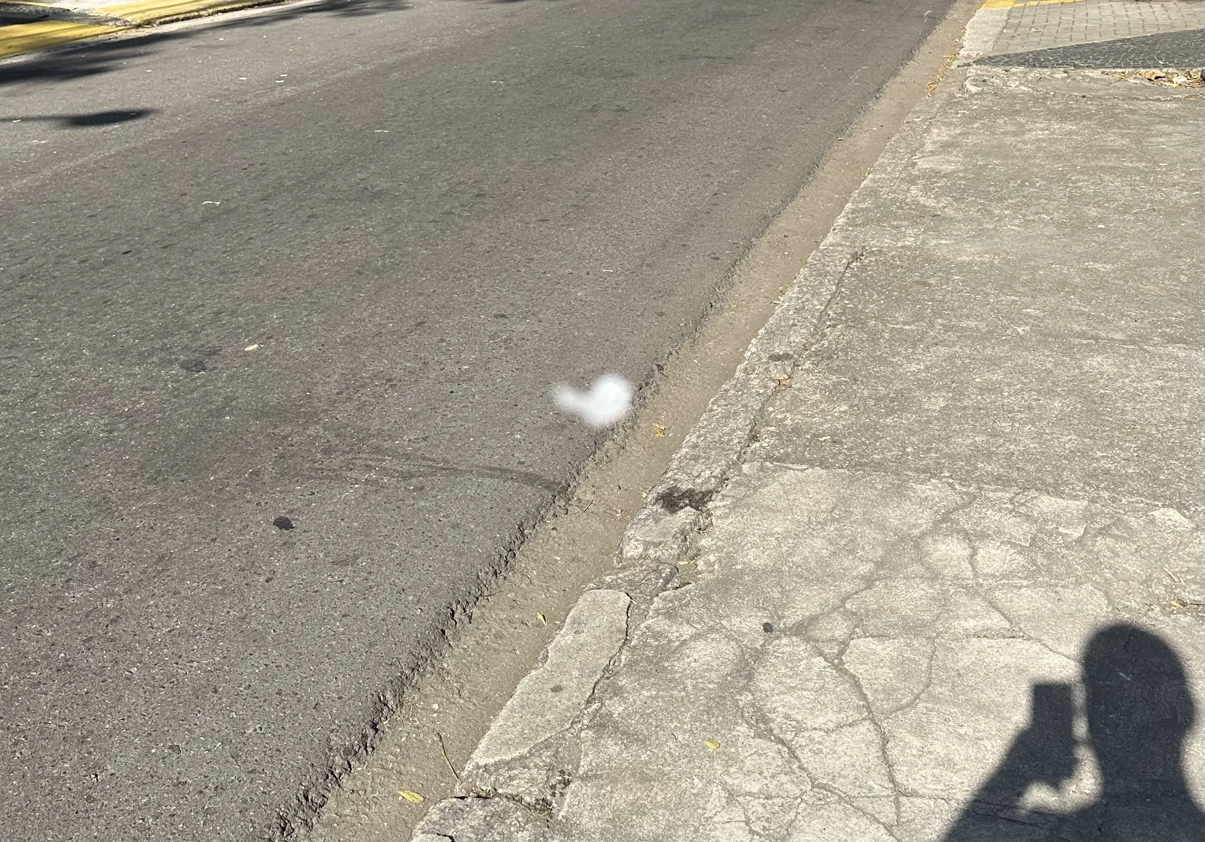 Fuligem branca registrada na Rua João Pessoa, em Icaraí, Zona Sul de Niterói | Foto: Leitor