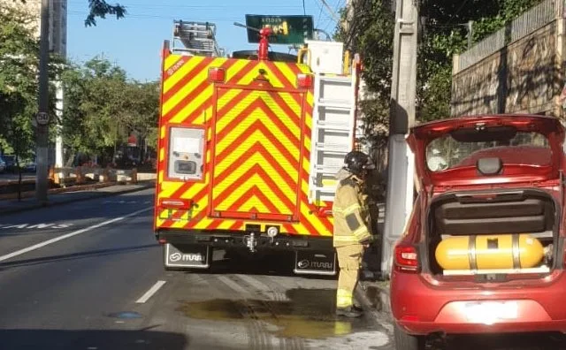 Divulgação/Nittrans Divulgação/Nittrans