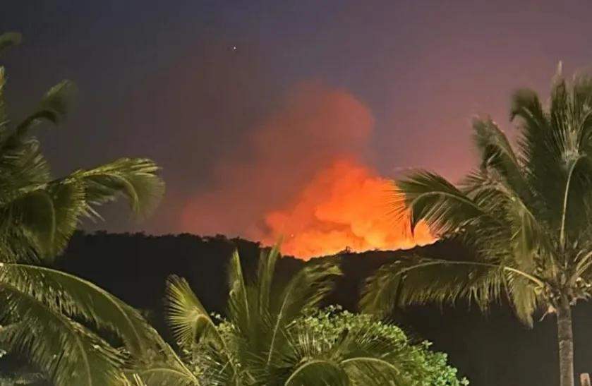 Incêndio no Morro das Andorinhas, em Itaipu, Região Oceânica de Niterói/Reprodução/Redes Sociais