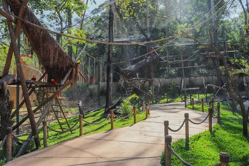 Divulgação/BioParque do Rio