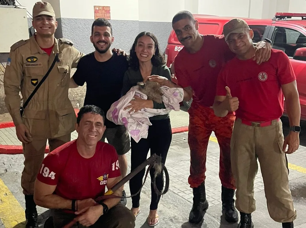 Divulgação/Corpo de Bombeiros