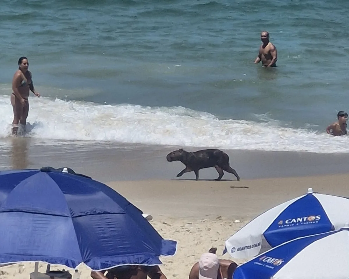 Divulgação/Prefeitura de Niterói