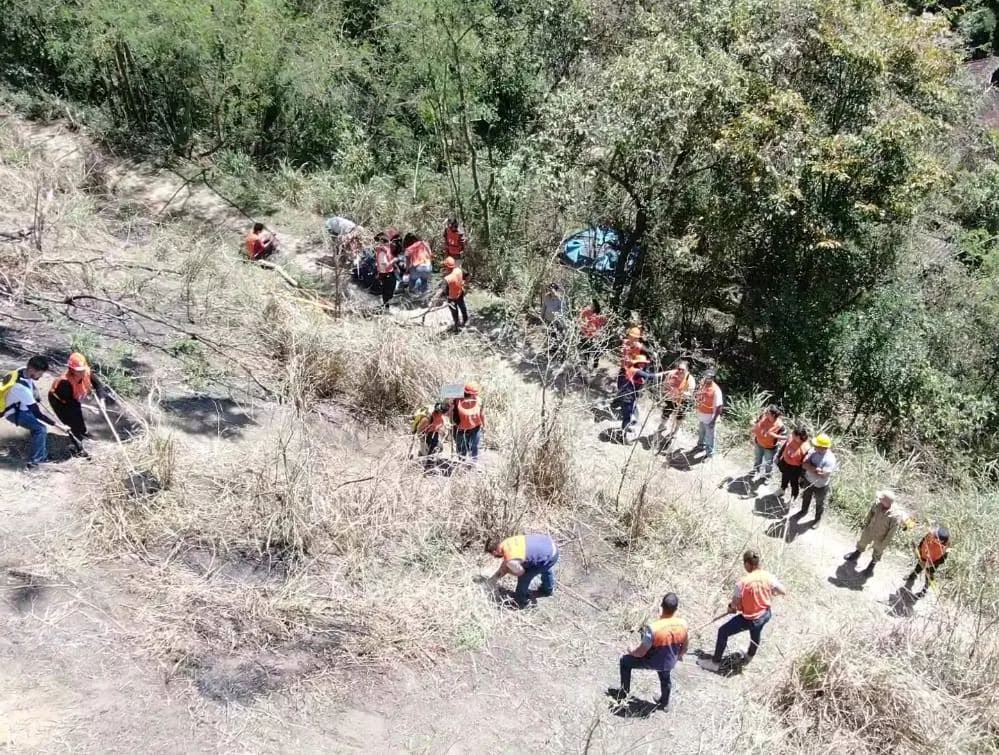 Foto: Arquivo (Nudec em ação)
