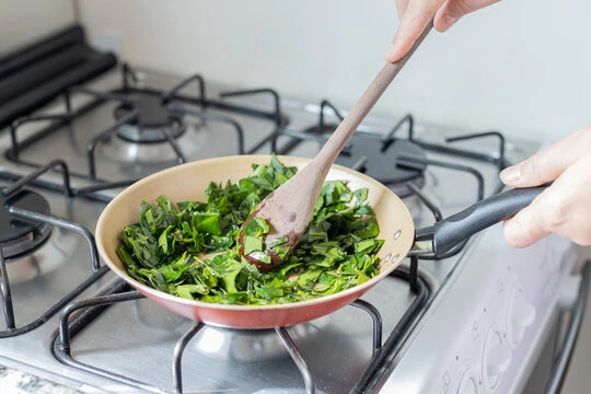 Ora-pró-nóbis 10 benefícios da super planta campeã de nutrientes