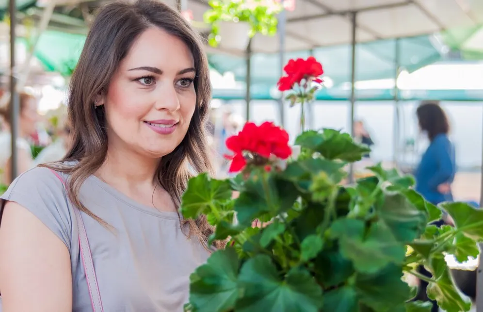 Onde posicionar a planta beijinho