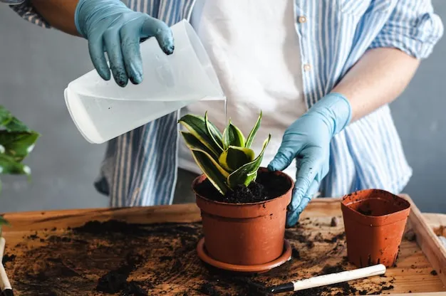 Descubra por que você deve usar bicarbonato nas plantas imediatamente