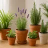 Foto: Cn Jardinagem