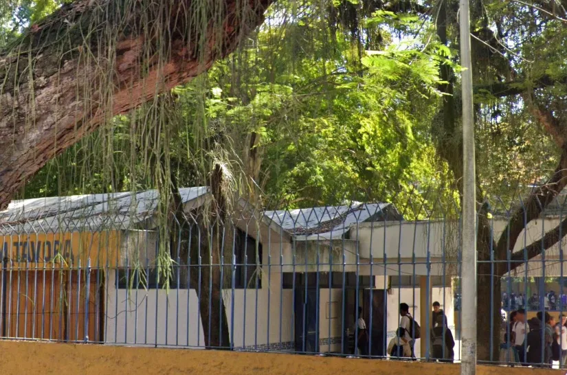 Reprodução