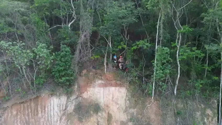 Reprodução