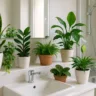Foto: Cn Jardinagem