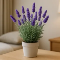 Foto: Cn Jardinagem