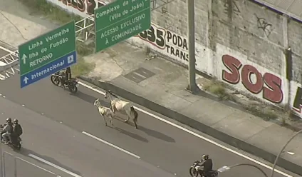 Reprodução/TV Globo
