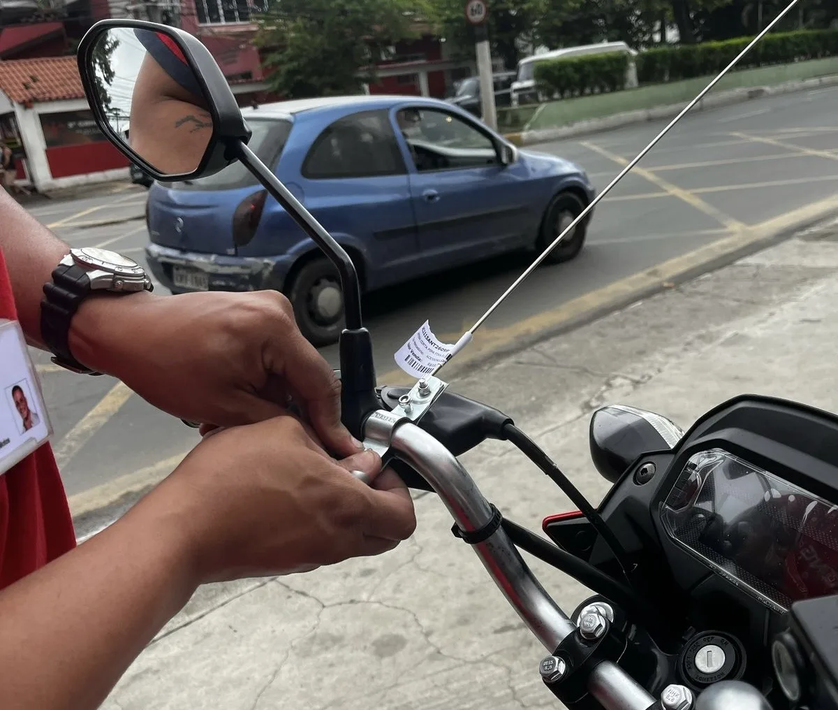 Divulgação