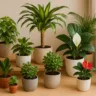 Foto: Cn Jardinagem