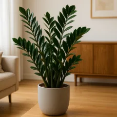 Foto: Cn Jardinagem