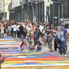 A tradicional confecção dos tapetes de Corpus Christi, feita por fiéis ao longo da Avenida Amaral Peixoto, no Centro de Niterói em 2024. Foto: Cidade de Niterói