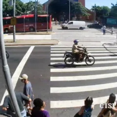 Divulgação/CISP