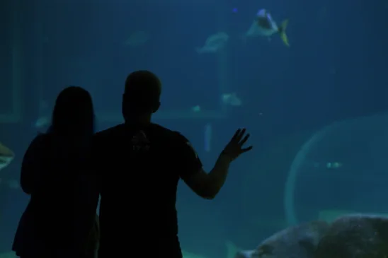 AquaRio