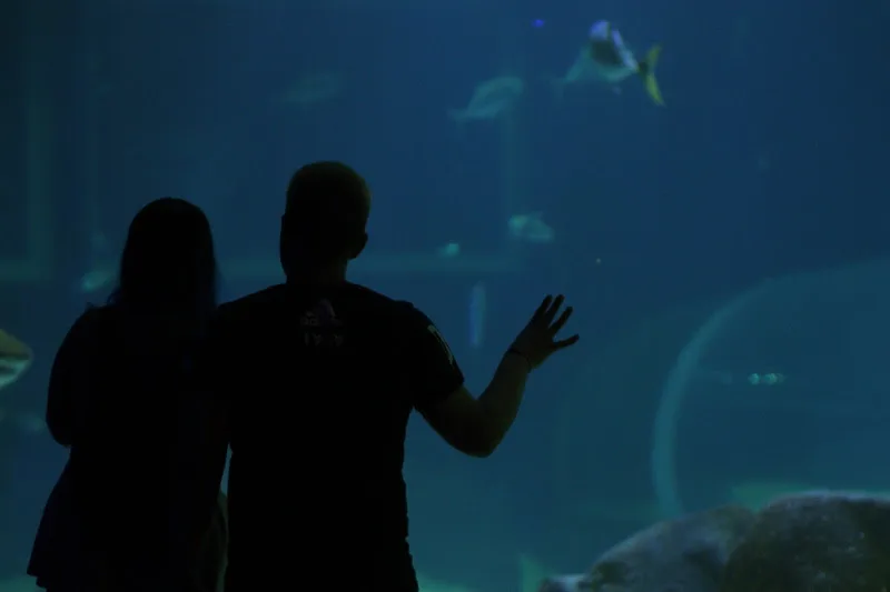 AquaRio AquaRio