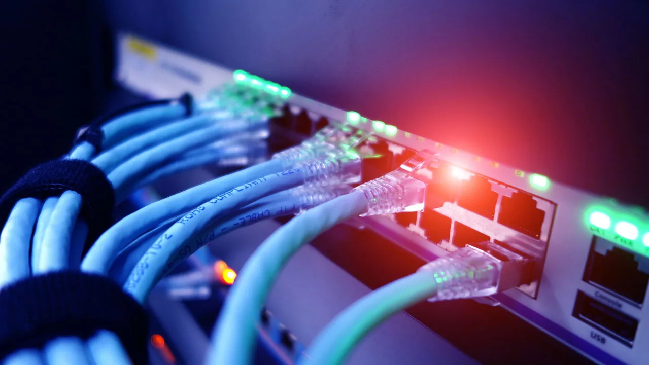 O avanço da internet O avanço da internet