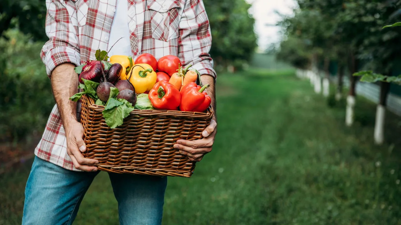 7 vegetais que ninguém cultiva em casa (mas deveriam)
