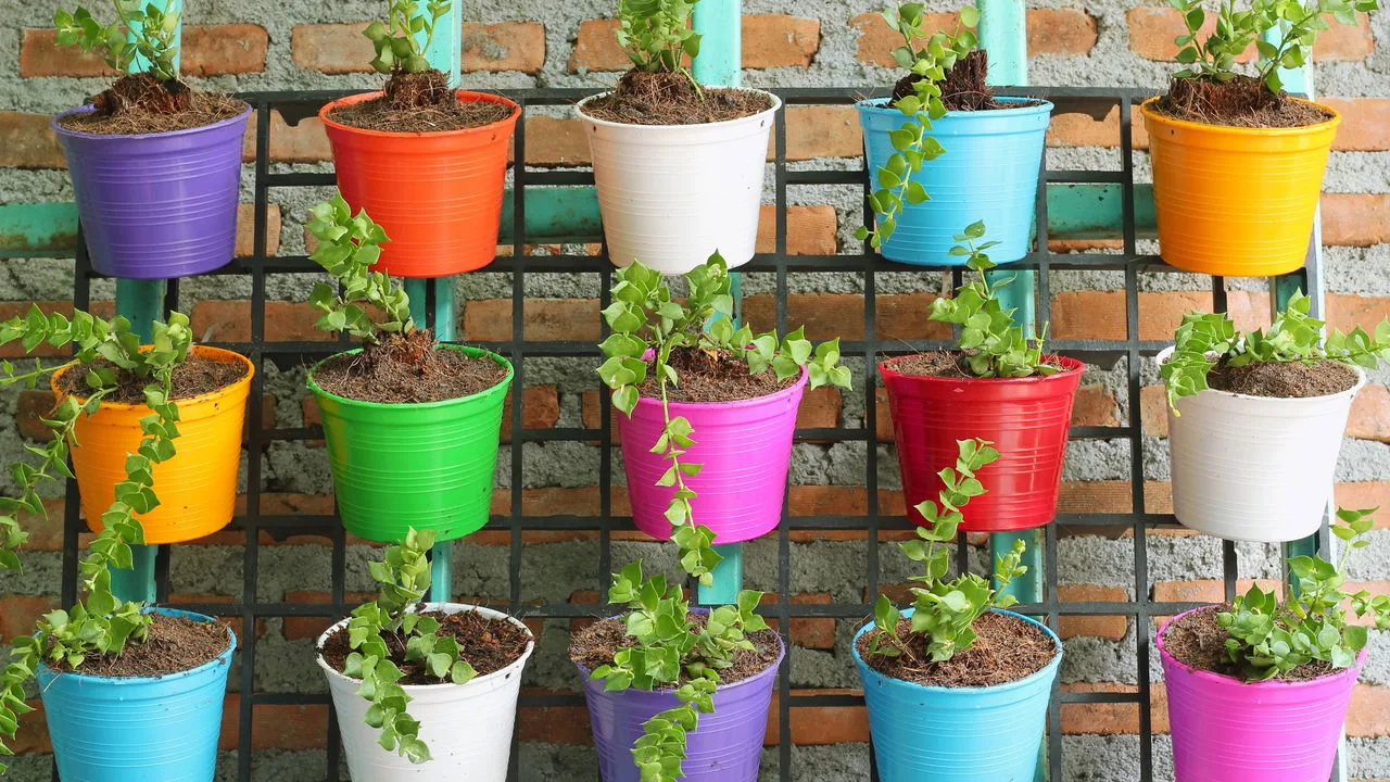 Jardim vertical perfumado em parede interna ocupando zero espa&ccedil;o no ch&atilde;o