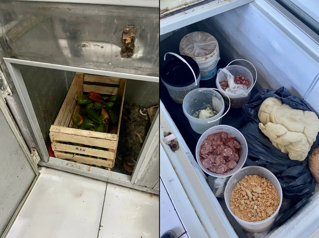 Divulgação Divulgação