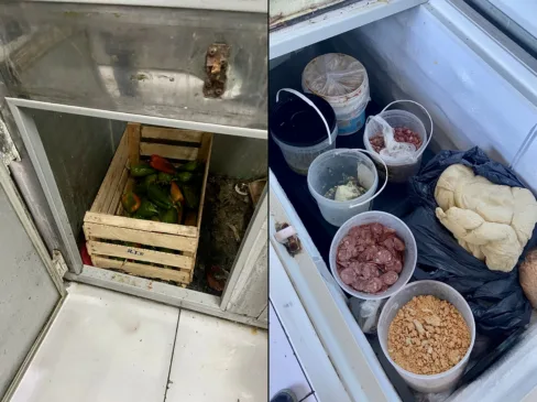 Divulgação