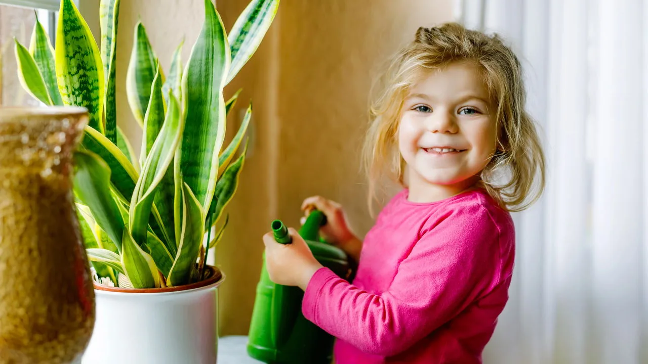 Cultive plantas resistentes