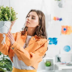 Plantas pendentes