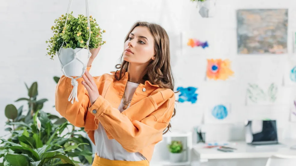 Plantas pendentes