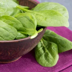 Como cultivar espinafre o ano inteiro sem usar estufa