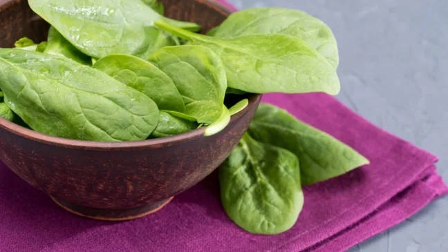 Como cultivar espinafre o ano inteiro sem usar estufa Como cultivar espinafre o ano inteiro sem usar estufa