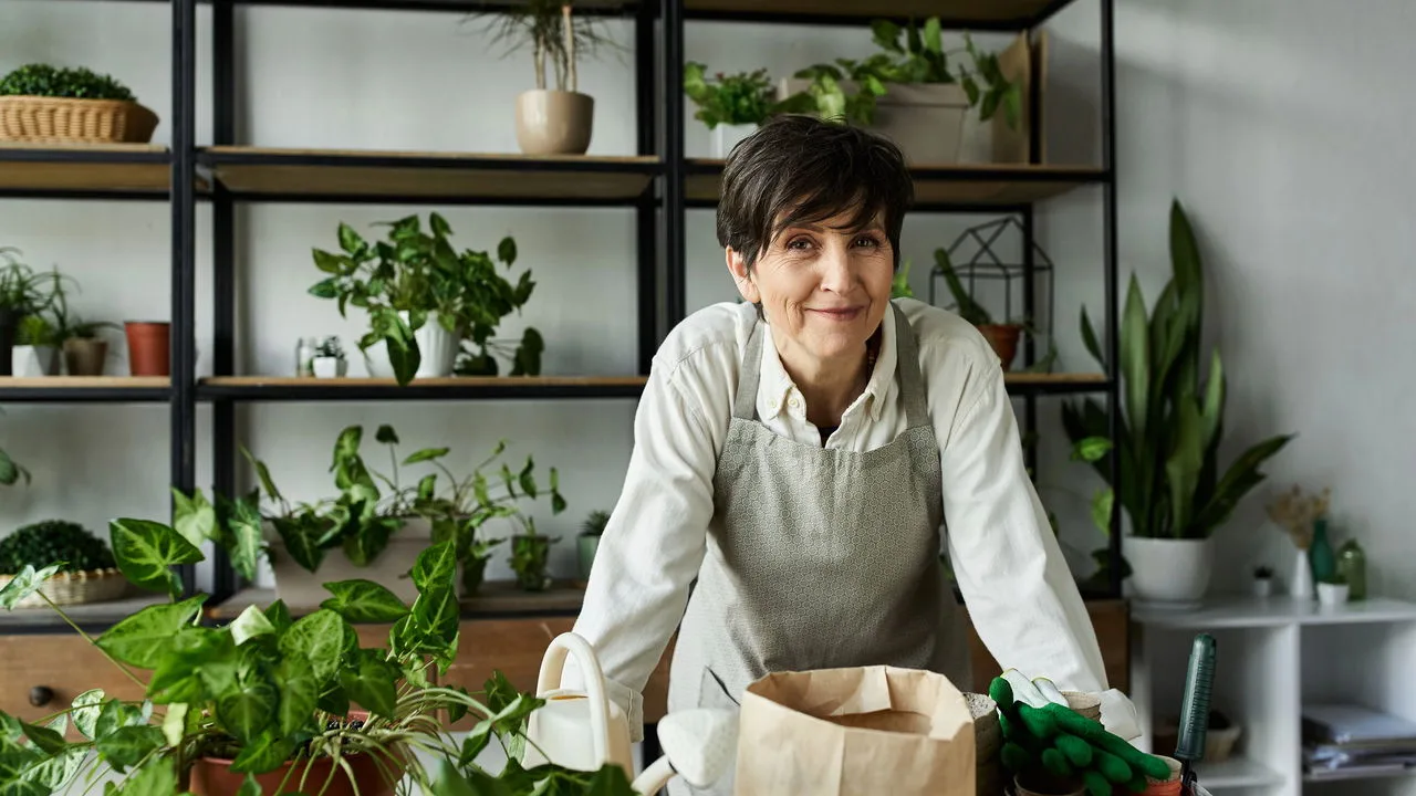 10 plantas fáceis de cuidar perfeitas para iniciantes