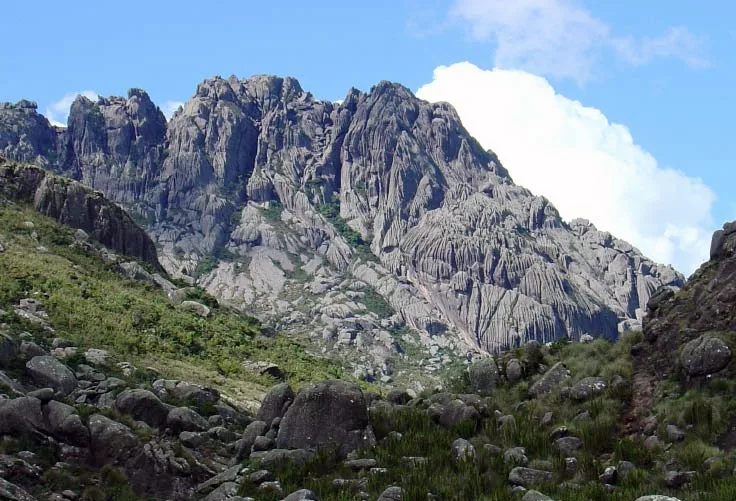 Parque Nacional do Itatiaia (PNI) | Divulgação Parque Nacional do Itatiaia (PNI) | Divulgação