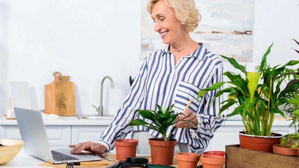 Os 5 maiores erros de quem cultiva hortaliças em casa Os 5 maiores erros de quem cultiva hortaliças em casa