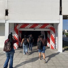 Divulgação/Bay Market