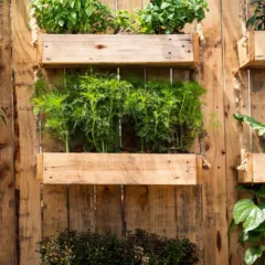 Cultive temperos frescos em casa com uma horta vertical