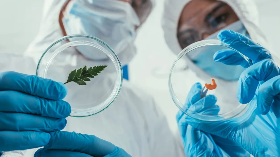 Biotecnologia impulsiona inovações na saúde e no campo Biotecnologia impulsiona inovações na saúde e no campo