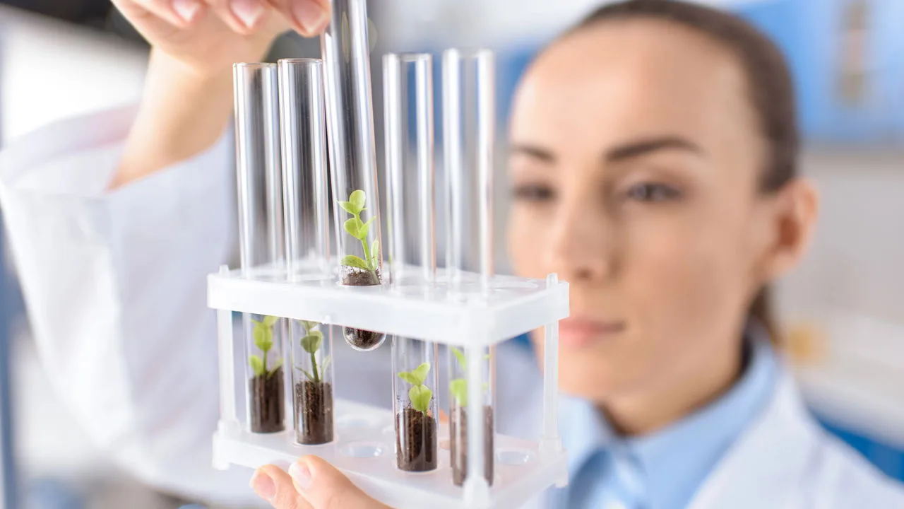 Biotecnologia impulsiona inovações na saúde e no campo