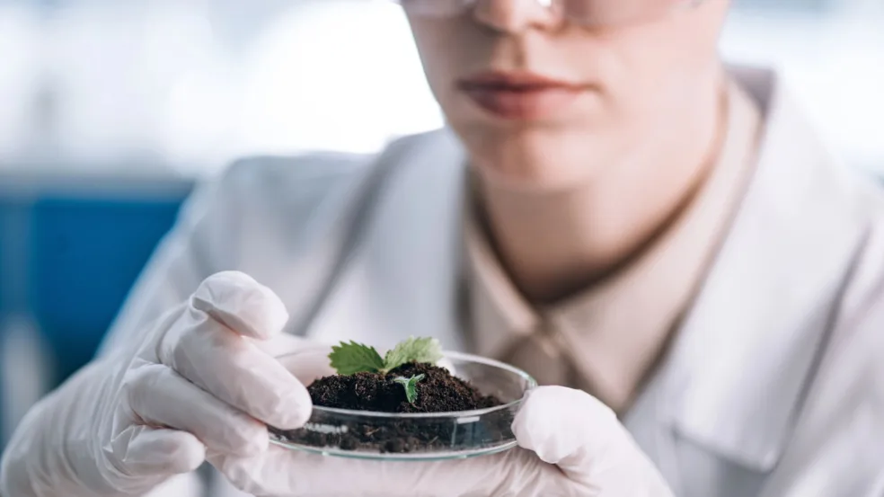 Biotecnologia Biotecnologia