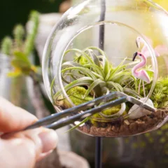 Cultive plantas resistentes