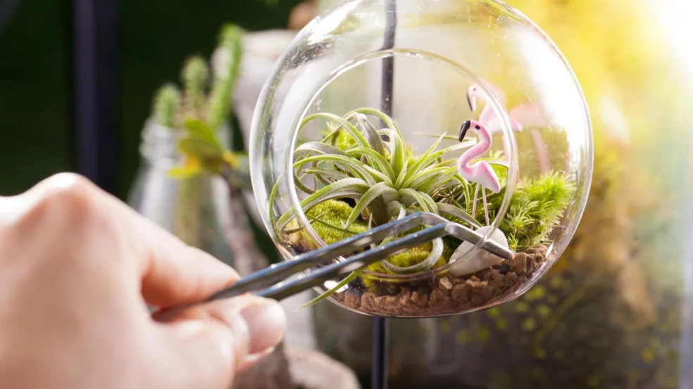 Cultive plantas resistentes Cultive plantas resistentes