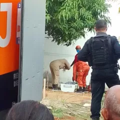 Foto: Polícia Civil