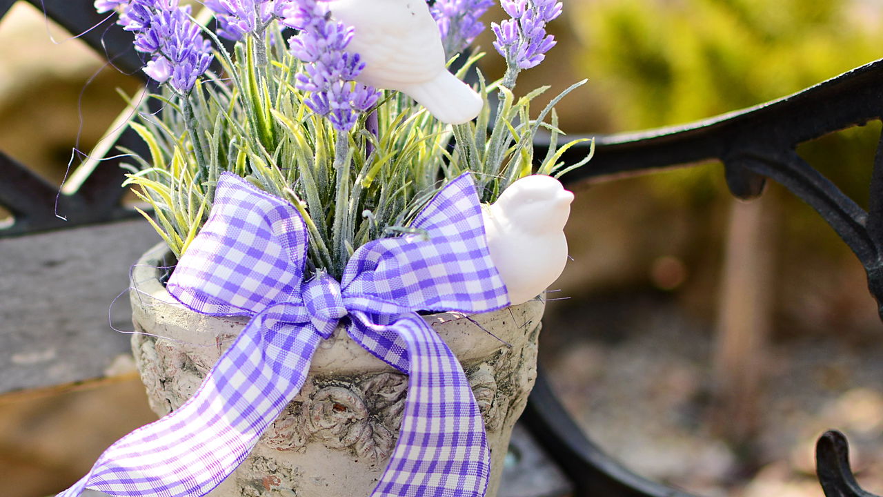 Veja plantas que dão flores o ano inteiro e são fáceis de cuidar