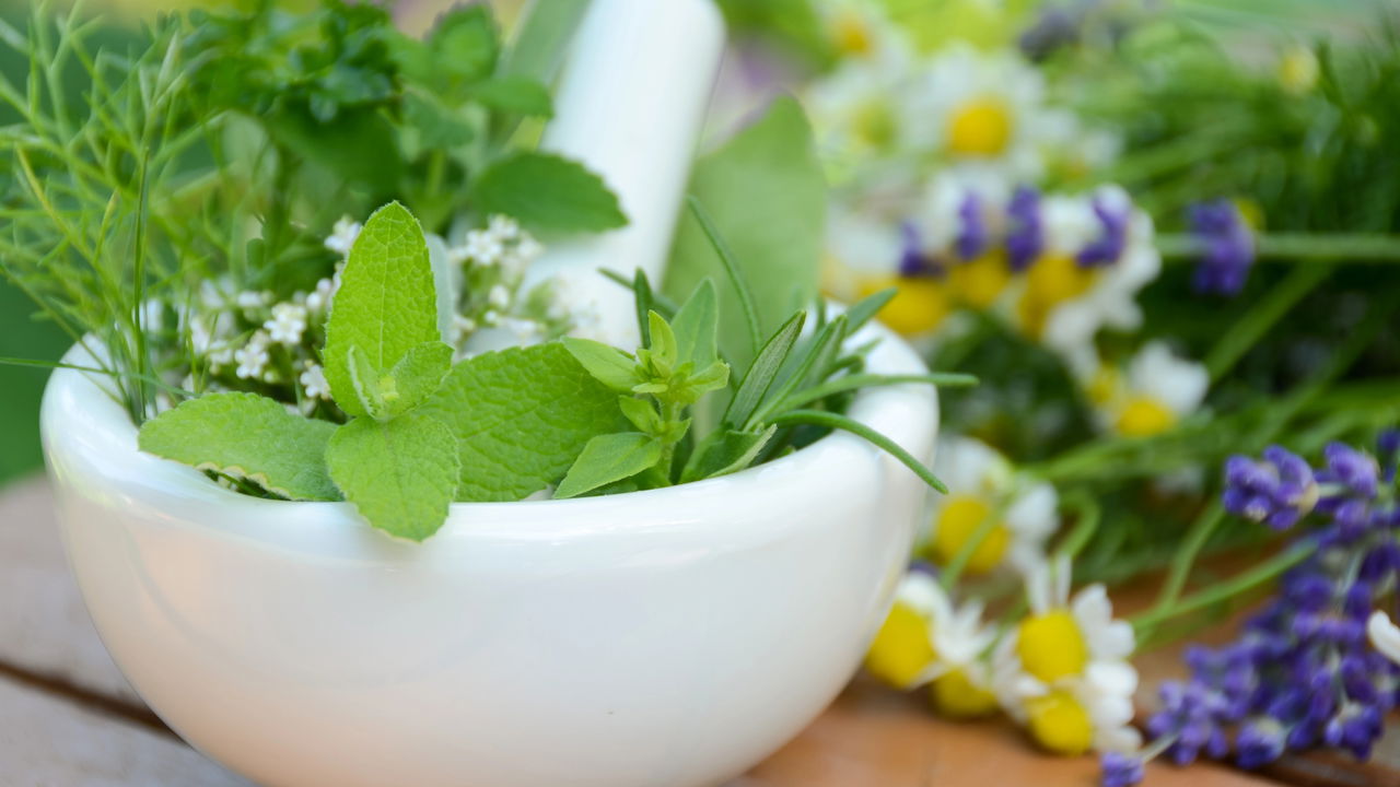 Essas plantas medicinais são fáceis de ter em casa