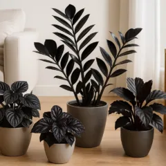 Foto: Cn Jardinagem