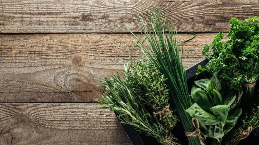 Plantas que afastam insetos de forma natural e eficaz Plantas que afastam insetos de forma natural e eficaz