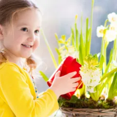 Flores perfumadas